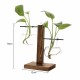 Wooden Frame Vase